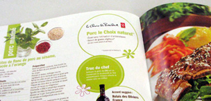 Creepy Cockroach - Illustration and Design